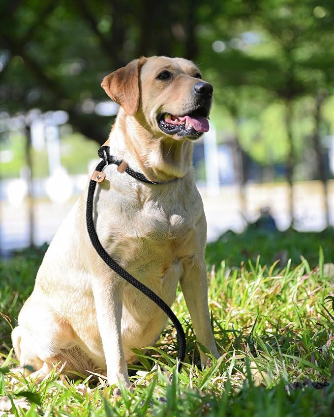 lynxking Dog Leash Slip Lead 5 6 8 FT Dog Training Leash Strong Heavy Duty Braided No Pull Training Lead Leashes for Small Medium Large Dogs