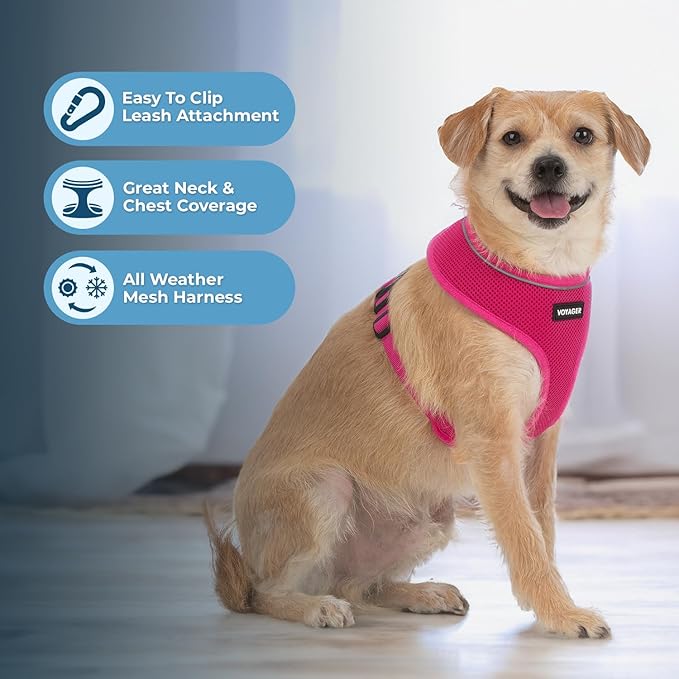 Best Pet Supplies Voyager Aerolite Over the Head Dog Harness, No Pull Breathable Air Mesh Vest, Quick Dry with Reflective Stitching, Adjustable Escape Resistant Harness - Fuchsia, Large