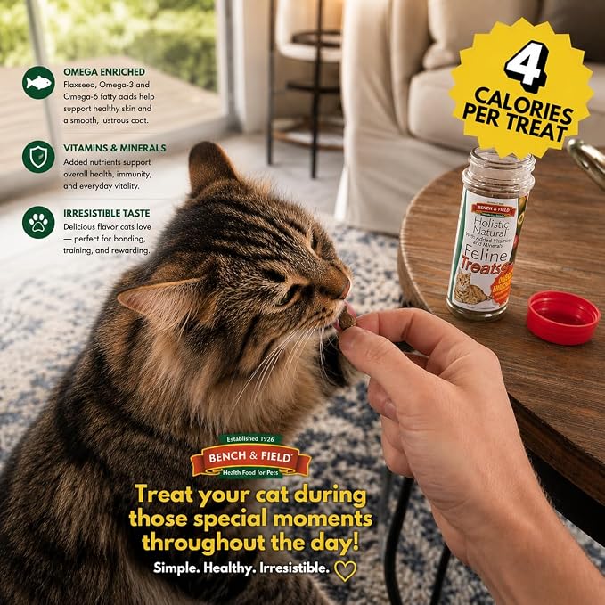 Bench & Field Holistic Natural Healthy Kitty Cat Treats | Crunchy Fish-Shaped Bites | Delicious Seafood Flavored Snack, 3-Ounce (Pack of 6 Bottles)
