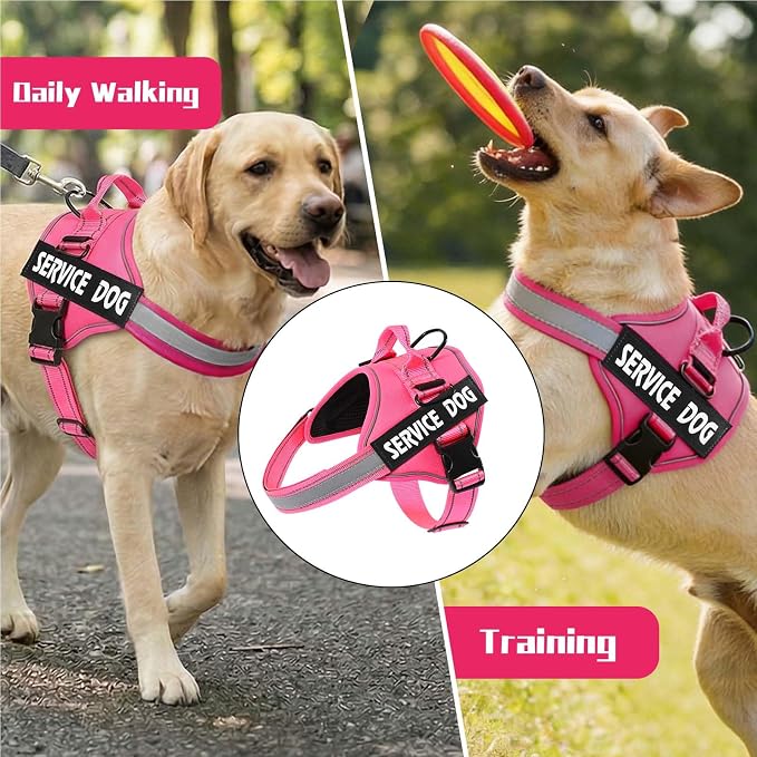 MUMUPET Service Dog Harness, No Pull Reflective Adjustable with Handle, Soft Breathable Padding for Small Dogs, 2 Removable Velcro Patches (Hot Pink, S)