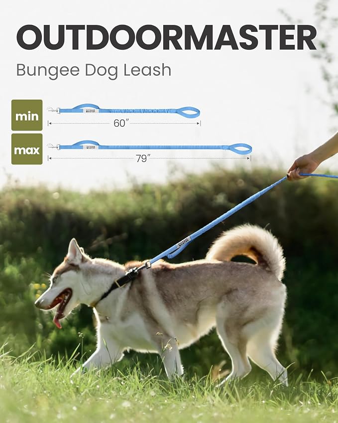 OutdoorMaster Bungee Dog Leash, Heavy Duty Dog Leash with Shock Absorption, 2 Padded Handles Training Leash, Improved Dog Safety and Comfort - Blue Upgraded, 6 FT