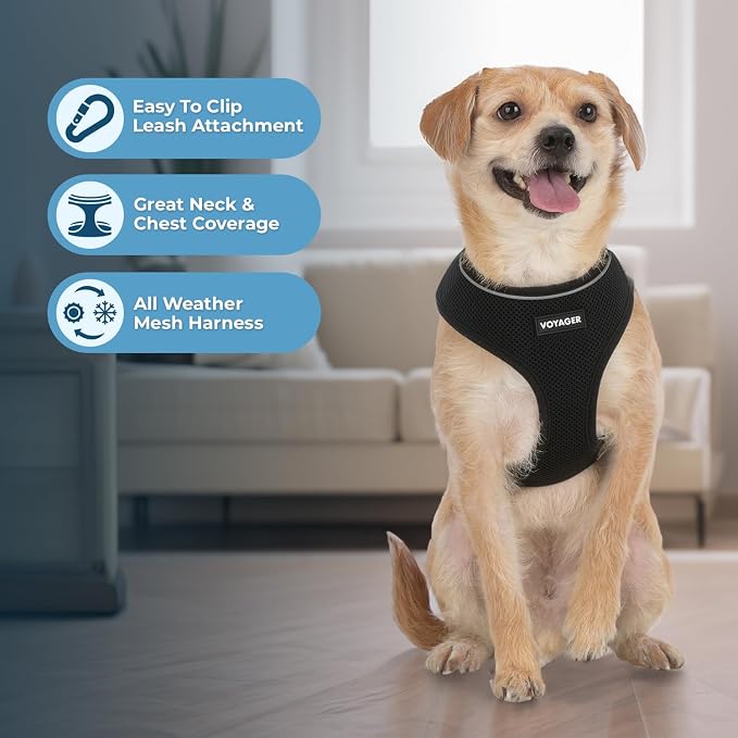 Best Pet Supplies Voyager Aerolite Over the Head Dog Harness, No Pull Breathable Air Mesh Vest, Quick Dry with Reflective Stitching, Adjustable Escape Resistant Harness - Black, X-Large