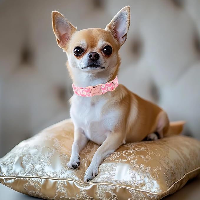 Dainty Daisy Dog Collar, Spring/Summer Pink Floral Girl Dog Collars, Adjustable Heavy Duty Cottagecore Female Dogs Collar for Small Medium Large Dogs with Metal Buckle L
