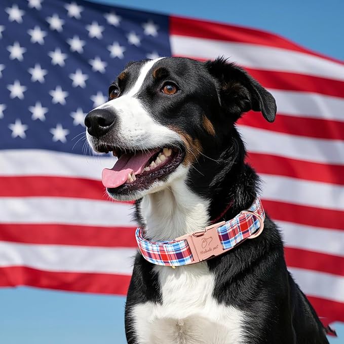 Adjustable Plaid Boy Dog Collar - Classic Boy Dog Plaid Collars for Large Dogs, Durable Red White Blue Heavy Duty Metal Buckle Pet Collar L