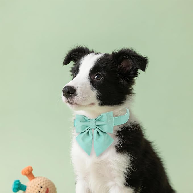 Maca Bates Mint Green Dog Collar with Cute Solid Sailor Bow Tie for Medium Girl Boy Dogs,Adjustbale Durable Breakaway Soft Collars with Bowtie for Female Male Puppy,Pet with Metal Buckle