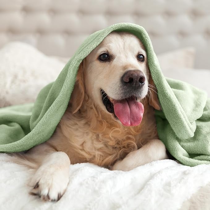 BEDELITE Fleece Blanket Sage Grey Green Throw Blankets for Couch & Bed, Luxury Plush Cozy Fuzzy Blanket 50x60 inches, Super Soft Warm Lightweight Throw Blanket for Travel Camping