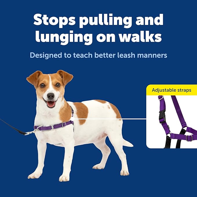 PetSafe Easy Walk No-Pull Dog Harness - Ultimate Harness to Help Stop Pulling - Pull-Free Walks - Take Control & Teach Better Leash Manners - Patented Martingale Loop Design - Deep Purple, Small