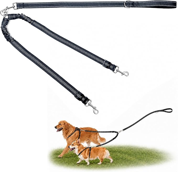 Double Dog Leash for Two Dogs, Complete Set with 31.5" Main Leash + Adjustable Splitter, Padded Handle, D-Ring, 360° Swivel, Shock-Absorbing Bungee, Reflective for Small Medium Large Dogs (Black)