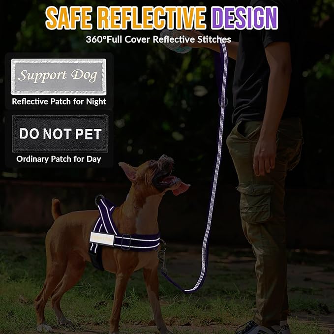 Lukovee No Pull Dog Harness and Leash Set - Adjustable Soft Padded Vest with Front Clip for Easy Control, Reflective Durable Harness for Safe Daily Training Walking for Medium Large Dogs (S, PU)