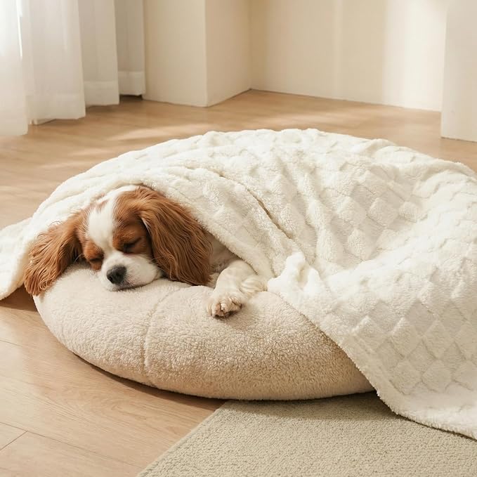 David's Home Large Dog Blankets Washable Pet Bed Cover, Soft Fluffy Fuzzy Cat Puppy Blanket with Premium 300GSM Fleece for Pet Kitten Doggy, Cream, 50x60IN