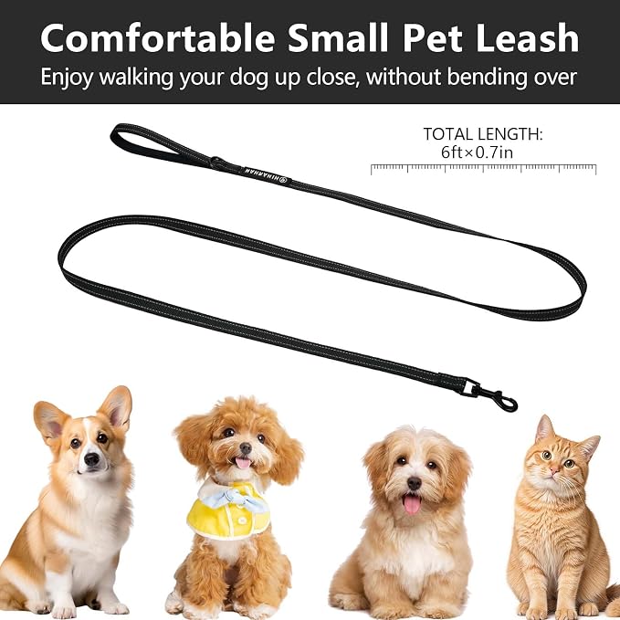Reflective 6 FT Dog Leash, Premium Traditional Style Puppy Leash with Easy to Use Collar Hook for Small, Medium, and Large Breed Puppies (Black, 3/4 in x 6 ft)