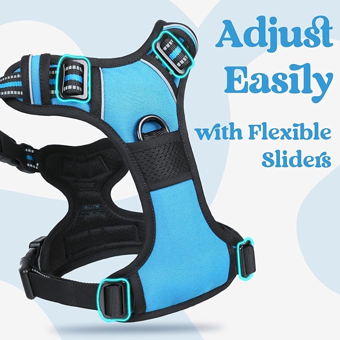 rabbitgoo Dog Harness for Large, No Pull Easy On & Off with 3 Buckles Pet Harness, Adjustable Soft Walking Vest with 2 Clips and Handle, Reflective for Large Dogs, Sky Blue, L