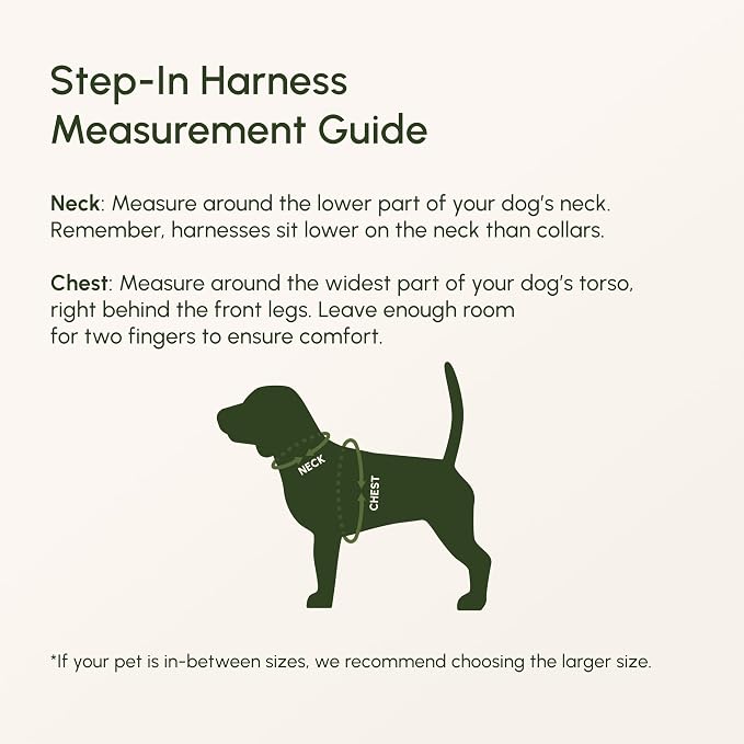 Downtown Pet Supply Step in Dog Harness for Large Dogs - Adjustable, Escape Proof Dog Harness with Reflective Trim - All-Weather, Fast-Drying Padded Mesh Fabric - Tangerine, XX-Small