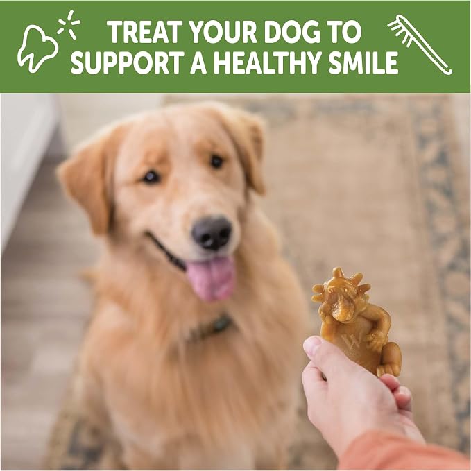 Whimzees Wellness Hedgehog Natural Dog Dental Treat, Chews, Freshens Breath, Large Size, 12.7 oz Bag, 6 Count