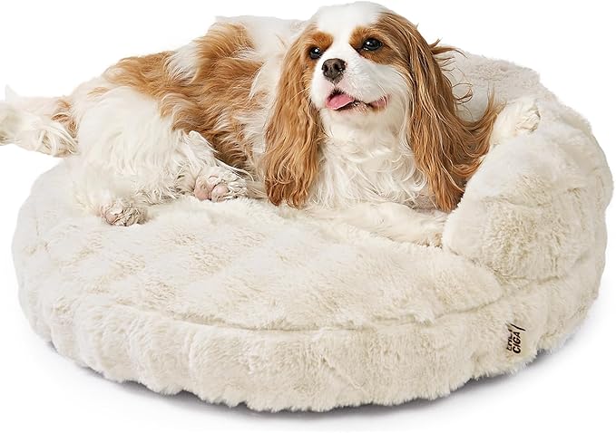 EHEYCIGA Soft Cat Couch Bed for Indoor Cats, Fluffy Small Dog Bed with Removable Washable Cover, Bolster Pet Sofa, Waterproof and Non-Slip, 26" x 26"x 8", Cream
