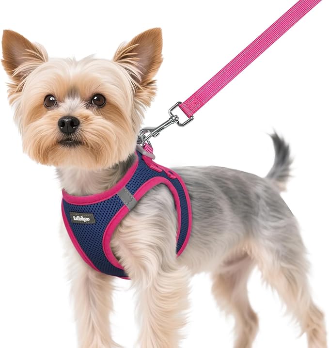 rabbitgoo Dog Harness Small Sized and Leash Set, Step-in Breathable Pet Harness, Soft Walking Reflective Puppy Vest for Small Dogs, Blue & Rose Red, XS