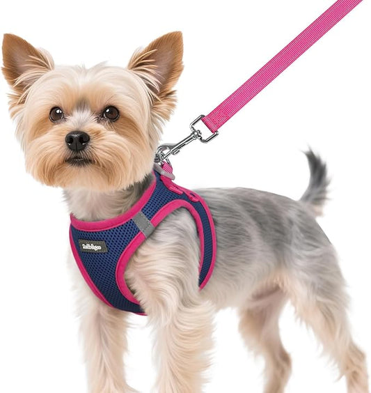 rabbitgoo Dog Harness Small Sized and Leash Set, Step-in Breathable Pet Harness, Soft Walking Reflective Puppy Vest for Small Dogs, Blue & Rose Red, XS