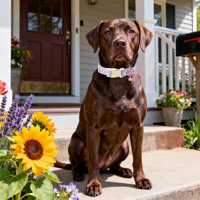 Spring Floral Dog Collar for Girl Dogs- Lavender Purple Flower Female Dog Collar, Adjustable Soft Cute Dogs Collars for Large Dogs, L