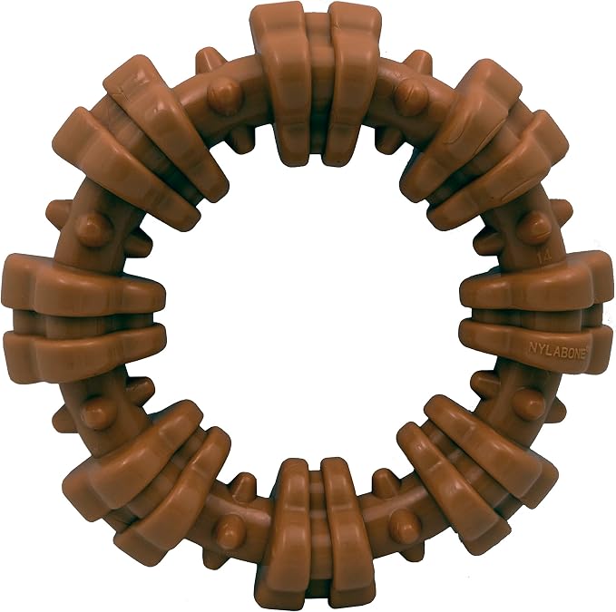 Nylabone Textured Ring Power Chew Toy for Small Dogs, Durable Dog Toys for Aggressive Chewers, Strong Dog Chew Bones To Keep Them Busy, Flavor Medley, Small - Up to 25 lbs, 1 Count