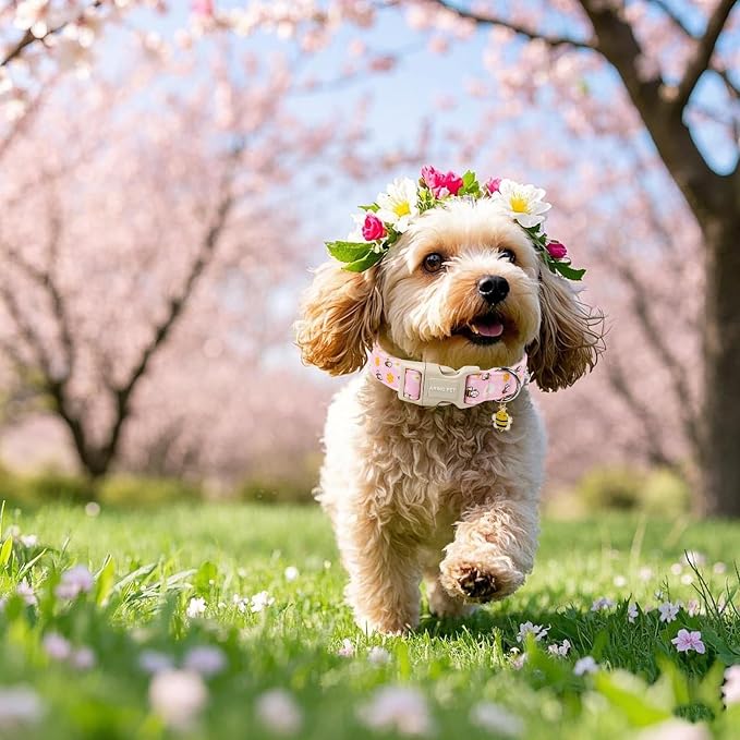 ARING PET Spring Summer Dog Collar, Cute Pink Bee Daisy Floral Pet Collars with Quick Release Buckle for Puppy Small Medium Large Boy Girl Dogs-S