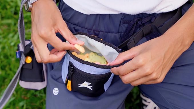 OllyDog, Goodie Treat Bag, Dog Treat Training Pouch | Magnetic Closure | 3 Ways to Wear | Hands-Free Waist Belt | Water-Resistant Recycled Vegan Fabric (Blue Heron)