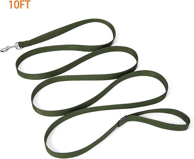 Strong Durable 10ft Nylon Dog Training Leash, 1 Inch Wide Traction Rope, for Small and Medium Dog (Military Green, 10 Feet)