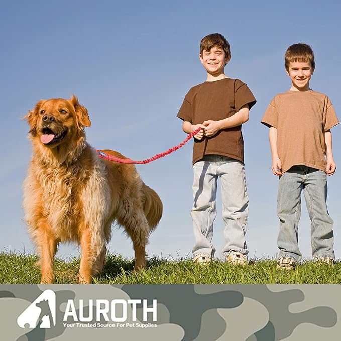 AUROTH Heavy Duty Bungee Dog Leash for Large Breeds - 6FT with 2 Padded Handles, Shock Absorption, No Pull Training, Red