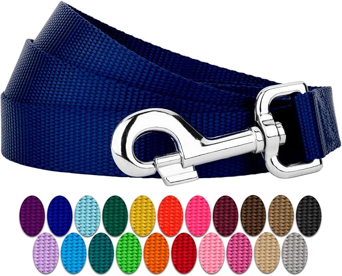 Country Brook Petz - Everyday Nylon Dog Leash - Strong, Durable, Solid Color Leash with Easy to Use Snap - 25+ Colors (1 Inch Wide, 6 Foot, Royal Blue)