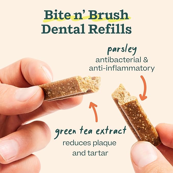 WOOF - Bite n' Brush Refills Treats for the Dog Toothbrush Toy - Scrub Plaque and Tartar from Your Dog's Teeth and Mouth - Dog Dental Sticks - 36 Refills - Beef - 2 Pack