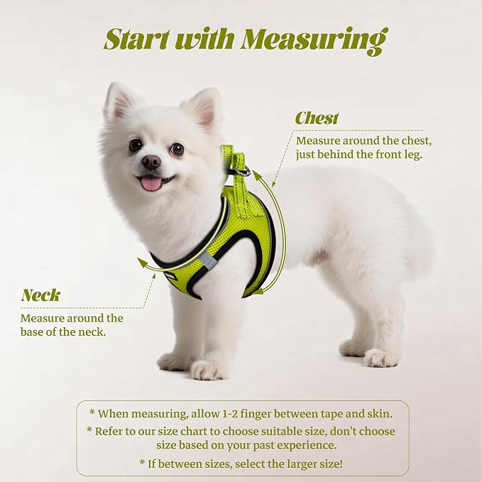 YIMEIS Dog Harness and Leash Set, No Pull Soft Mesh Pet Harness, Reflective Adjustable Puppy Vest for Small Medium Large Dogs, Cats (Fluorescent Yellow, Medium (Pack of 1)