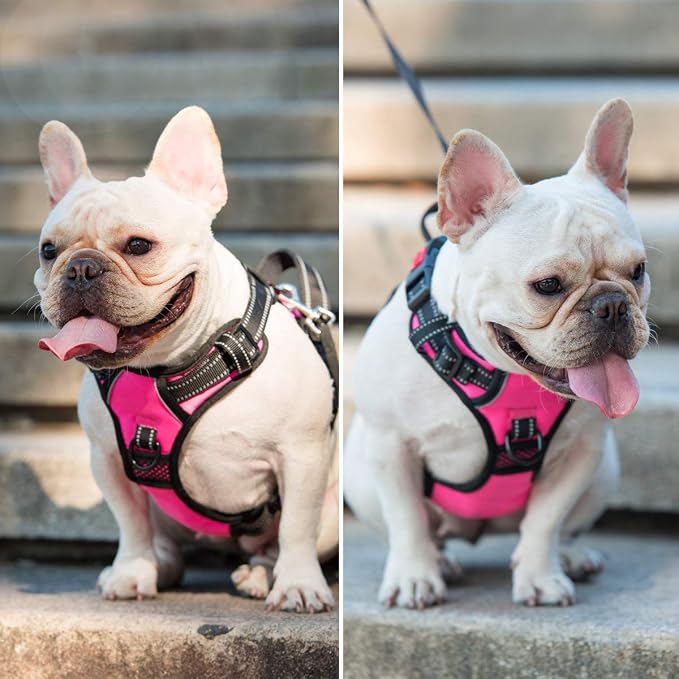 PoyPet No Pull Dog Harness, No Choke Front Lead Dog Reflective Harness, Adjustable Soft Padded Pet Vest with Easy Control Handle for Small to Large Dogs(Pink,L)