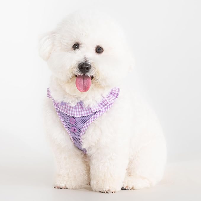 Puppia Vivien Dog Harness A (Over-the-Head) Fashionable Mesh Spring Summer Harness for Small Dogs, Violet, Medium