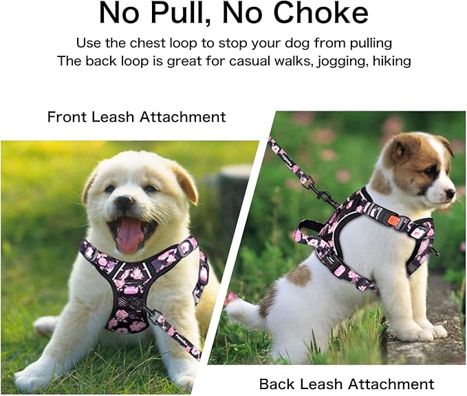 Petmolico No Pull Dog Harness Set with Leash Attachment Easy Control Handle Reflective Harness Vest Small Breed, Puppy Vest and Leash Set with Poop Bag Holder, XL - Pink Rose