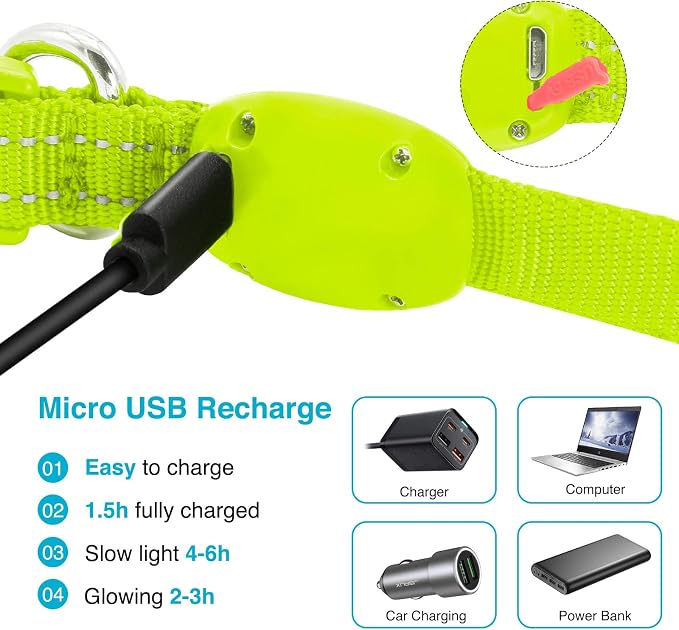 Light Up Dog Collar, Rechargeable USB Collar, Waterproof, Luminous LED Collar, Adjustable, Super Bright, Night Walking for Small Medium Large Dogs, Green, S