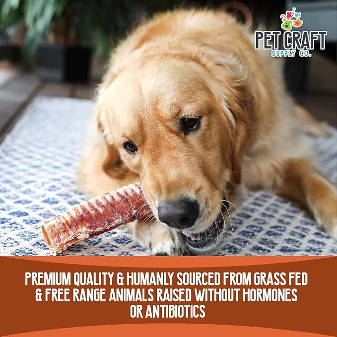 Pet Craft Supply All Natural Healthy Buffalo Butcher 12 Pack Bones Dog Chews Treats for Aggressive Chewers Long Lasting Rawhide Free Premium Slow Roasted for Small Medium Large Dogs