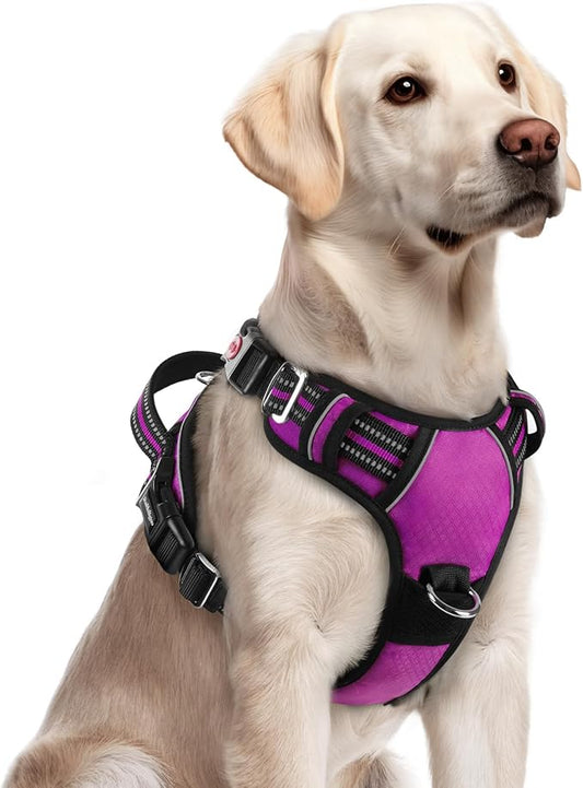 rabbitgoo Dog Harness for Large Dogs, 3 Buckles Easy On & Off No Pull Pet Vest, Soft Padded Walking Pet Harness with Control Handle, Adjustable and Reflective, Purple, L
