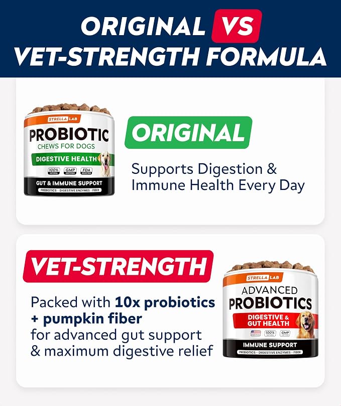 StrellaLab Vet Strength Dog Probiotics Treats - 60 Billion CFU per jar + Digestive Enzymes Prebiotics - Chewable Fiber Supplement w/Pumpkin - Diarrhea, Gas, Constipation, Upset Stomach Relief