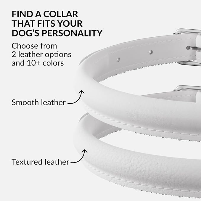 CollarDirect Rolled Leather Dog Collar, Soft Padded Round Puppy Collar, Handmade Genuine Leather Collar Dog Small Large Cat Collars 13 Colors (12-15 Inch, White Smooth)