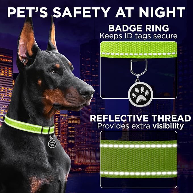 TECEUM Reflective Dog Collar – Acid Green – S – Extra Soft Padding – Basic Nylon Pet Collar – Quick Release Buckle – Fits Small, Medium and Large Dogs, Puppies, Cats – ESA & Service Dog Options
