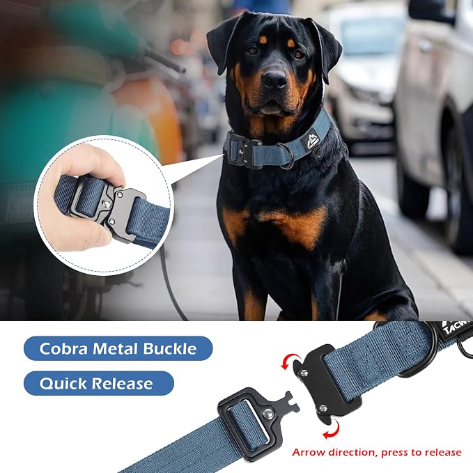 Dog Collars for Small Dogs Christmas Boy Girl- Adjustable, Chew Proof Nylon Collar with Metal Quick Release Buckle and D-Ring for Dog Tags (Haze Blue, S)