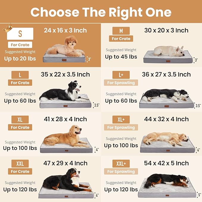 OhGeni Orthopedic Waterproof Dog Bed for Small Dogs, Machine-Washable Removable Cover in Easy-Clean Fabric, Reversible Memory Foam & Easy-Carry Handle, Suitable for Crate, 24 inch (Pink)