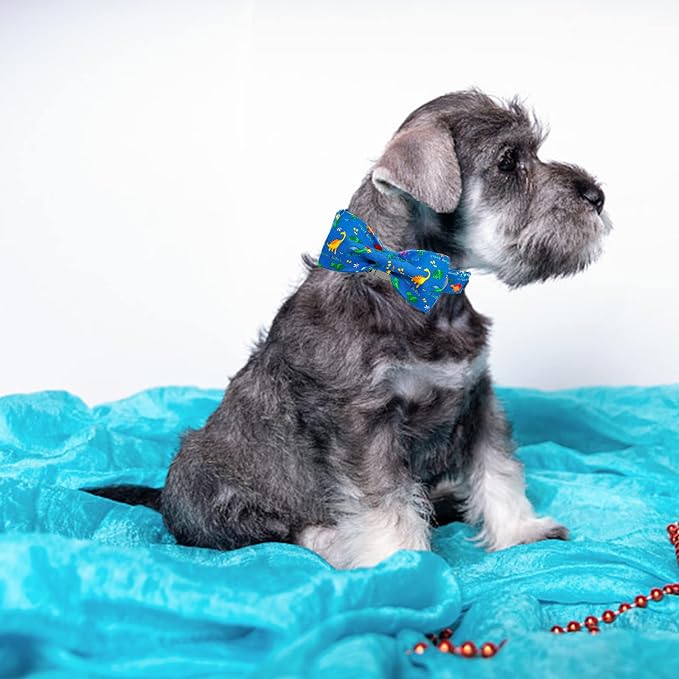 Elegant Little Tail Dog Collar with Bow - Soft Adjustable Collar for Small, Medium & Large Dogs