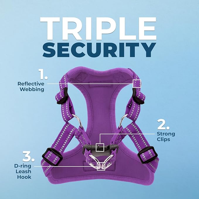 Best Pet Supplies Voyager Adjustable Step-In Flex Breathable Mesh Dog Harness for Small Medium Large Dogs (Purple), M