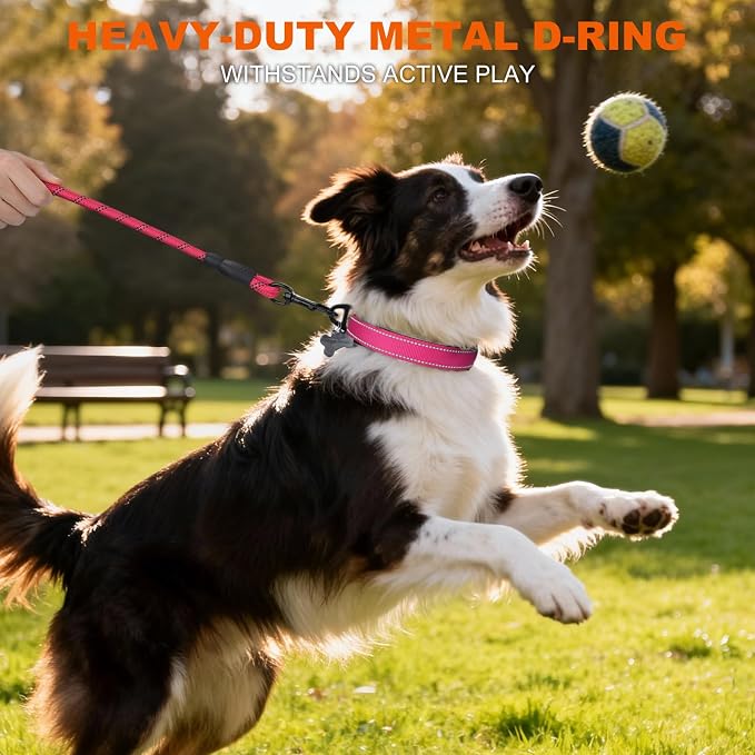 Taglory Reflective Dog Collar for Medium Dogs, Soft Neoprene Padded with Escape-Proof Locking Buckle, Upgraded Zinc Alloy Ring, Adjustable for Walking Female Male, Hotpink,M