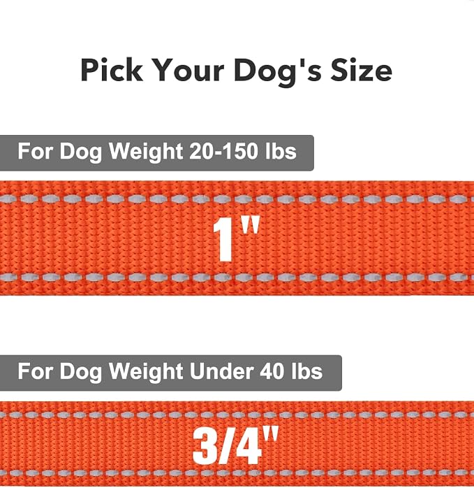 Taglory Dog Leash for Small Dogs, Double-Sided Reflective for Night Walking, Neoprene Padded Handle, 3/4 inch by 4 ft, Lightweight for Small Medium Breeds up to 30 lbs, Orange