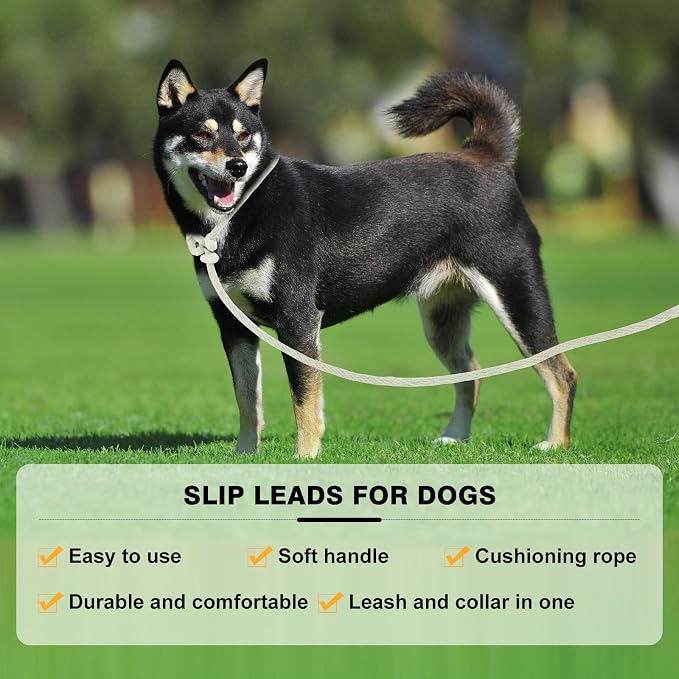 Lynxking Dog Leash Slip Lead Reflective Breathable Rope Comfortable Strong No Pull Slip On Pet Training Lead for Dogs (Beige, Large 1/2 inch x 6ft)