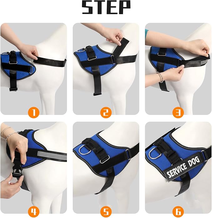 MUMUPET Service Dog Vest Harness, No Pull Reflective Adjustable with Handle, Soft Breathable Padding for Large Dogs, 2 Removable Velcro Patches (Blue, L)