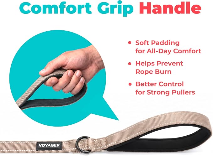 Best Pet Supplies Voyager Reflective Dog Leash or Collar with Neoprene Handle, for Small, Medium, and Large Breed Puppies, Cute and Heavy Duty for Walking, Running and Training - Khaki (Leash), M