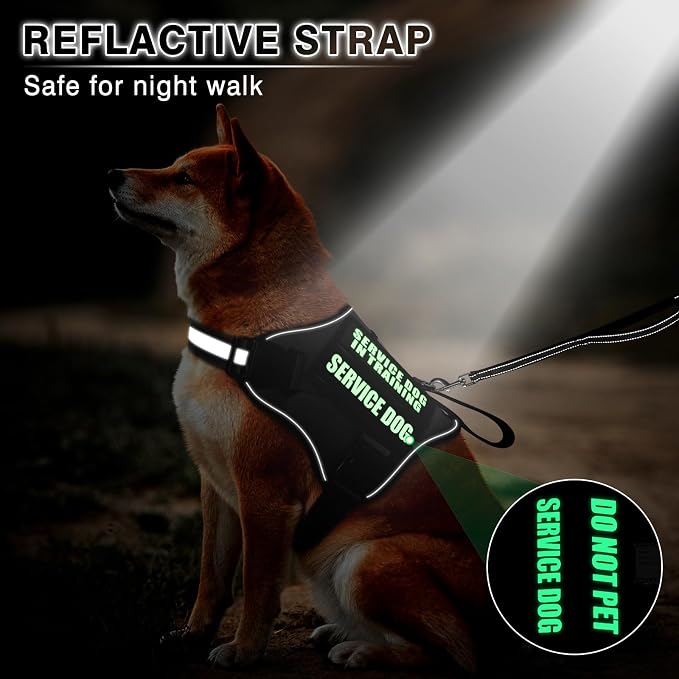 Service Dog Vest Harness and Leash Set+10 Patches,No Pull&Easy Walk Reflective Dog Harness with Soft Padded Handle for Training/Everyday,Fit Small/Medium/Large/Extra-Large Dogs (Black L)