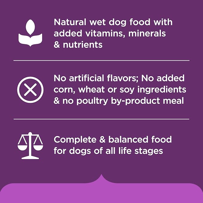 Nutrish Rachael Ray Wet Dog Food, Beef Stroganwoof with Green Beans, Tomatoes & Rice Pasta Recipe, 8 oz. Tub (Pack of 8)